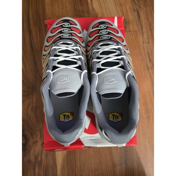 Size 13 - Nike Air Max Plus Drift Light Smoke Grey